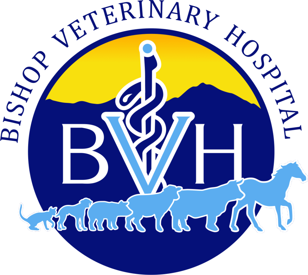 Projects bishop veterinary hospital logo